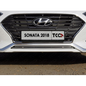 Решетка радиатора нижняя 12 мм Hyundai Sonata 2018-
